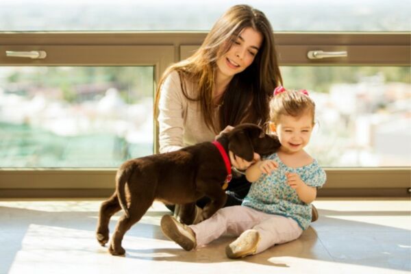 Advantages with KnowS Young woman playing with a little girl and a puppy at the window, symbolising trust, joy and versatile care via KnowS.