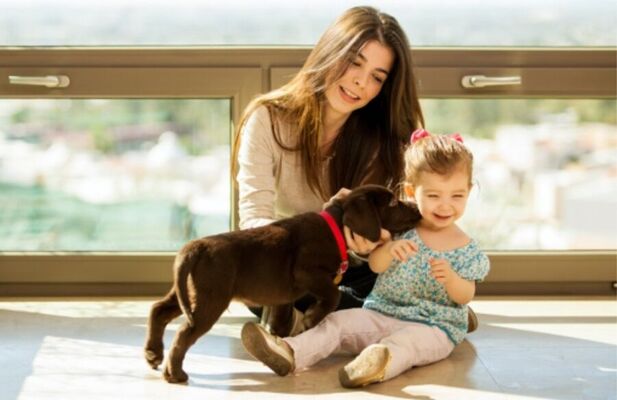 Vorteile mit KnowS Junge Frau spielt mit einem kleinen Mädchen und einem Welpen am Fenster, Symbol für Vertrauen, Freude und vielseitige Betreuung über KnowS.